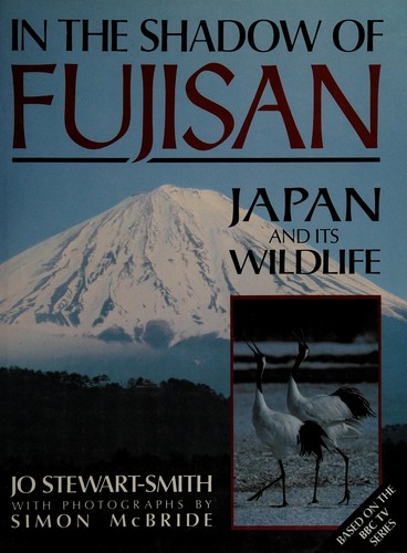 In the shadow of Fujisan