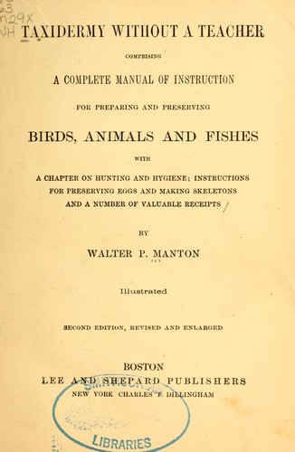Taxidermy without a teacher