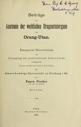 Beiträge zur Anatomie der weiblichen Urogenitalorgane des Orang-Utan
