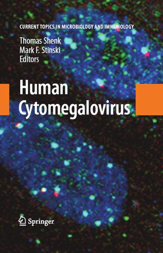 Human cytomegalovirus