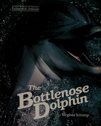 The bottlenose dolphin