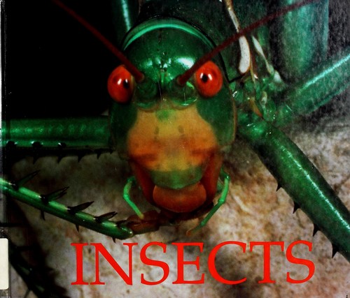 Insects