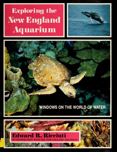Exploring the New England Aquarium
